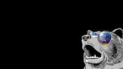 Sunglasses Bears Animals