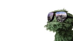 Sunglasses stuffed animals