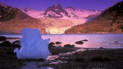 Sunrise bay Alaska icebergs