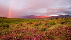 Sunrise California Parks
