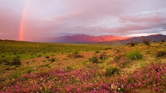Sunrise California Parks