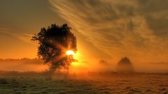 Sunrise clouds Landscapes sun