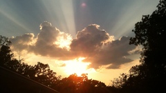 Sunrise clouds Trees nature