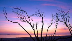 Sunrise Florida Beaches