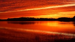 Sunrise Florida ponds