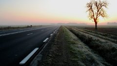 Sunrise fog roadside