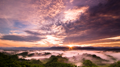 Sunrise forests mist skyscapes
