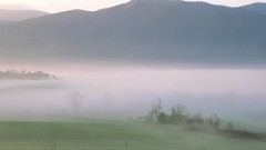 Sunrise great smoky mountains cove