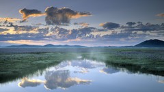 Sunrise idaho marsh wildlife Camas