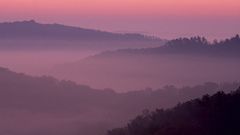 Sunrise Landscapes forest hills