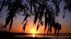 Sunrise Landscapes nature