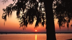 Sunrise Landscapes nature