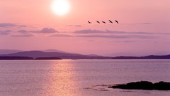 Sunrise Landscapes nature