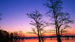 Sunrise Landscapes nature