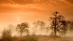Sunrise Landscapes nature