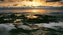 Sunrise Landscapes nature coast