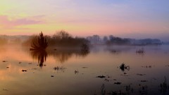 Sunrise Landscapes nature fog