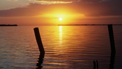 Sunrise Landscapes nature morning