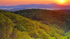 Sunrise Landscapes nature Trees