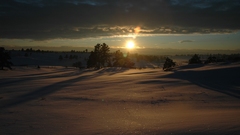 Sunrise Landscapes snow