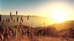 Sunrise Landscapes sun hills