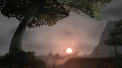 Sunrise Landscapes Trees grass