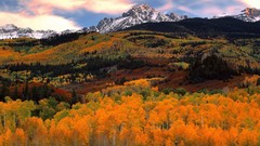 Sunrise light Colorado mount forests National