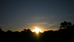 Sunrise morning nature clear