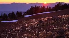 Sunrise Mountains nature