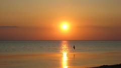 Sunrise nature Beaches