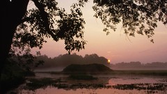 Sunrise nature Parks alabama