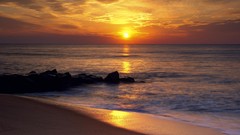 Sunrise nature sun ocean coast Beaches