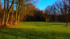 Sunrise nature sun Park lakes Castles forests