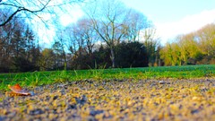 Sunrise nature sun Park lakes Castles forests