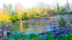 Sunrise nature sun Park lakes Castles forests