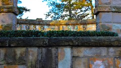 Sunrise nature sun Park lakes Castles forests