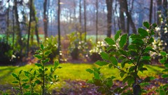 Sunrise nature sun Park lakes Castles forests