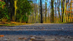 Sunrise nature sun Park lakes Castles forests