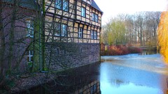 Sunrise nature sun Park lakes Castles forests