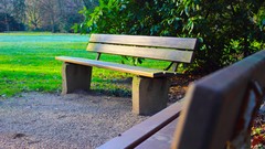 Sunrise nature sun Park lakes Castles forests