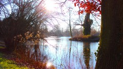 Sunrise nature sun Park lakes Castles forests