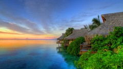 Sunrise nature Trees ocean houses