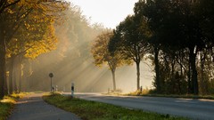 Sunrise nature Trees roads