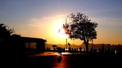 Sunrise nature Trees sun