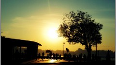 Sunrise nature Trees sun