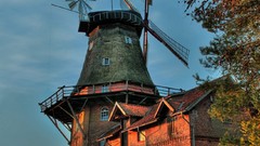 Sunrise nature windmills Wood sunlight