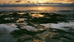 Sunrise nature Wisconsin lakes lake michigan