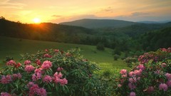 Sunrise north memorial Parks Moses