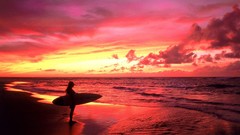 Sunrise ocean woman surfing