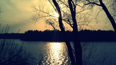 Sunrise Sea nature Trees water Parks